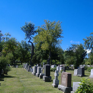 Newark NJ Cemetery Services Near Me - Essex County