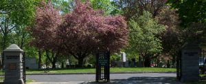 evergreen-cemetery-hours