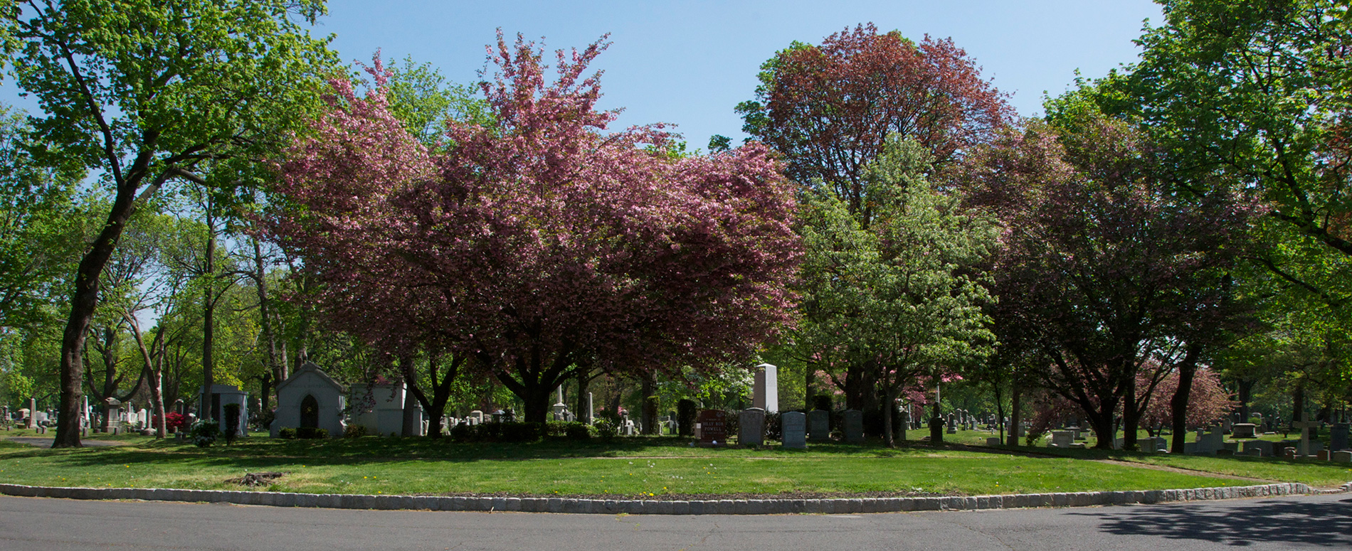 front-of-evergreen-cemetery